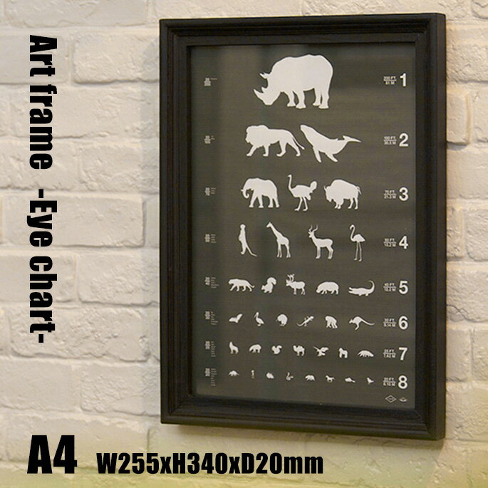 Art Frame Eye chart(アートフレーム アイチャート) A4 size 黒フレーム TR-4196(EC) ARTWORKSTUDIO(アートワークスタジオ)