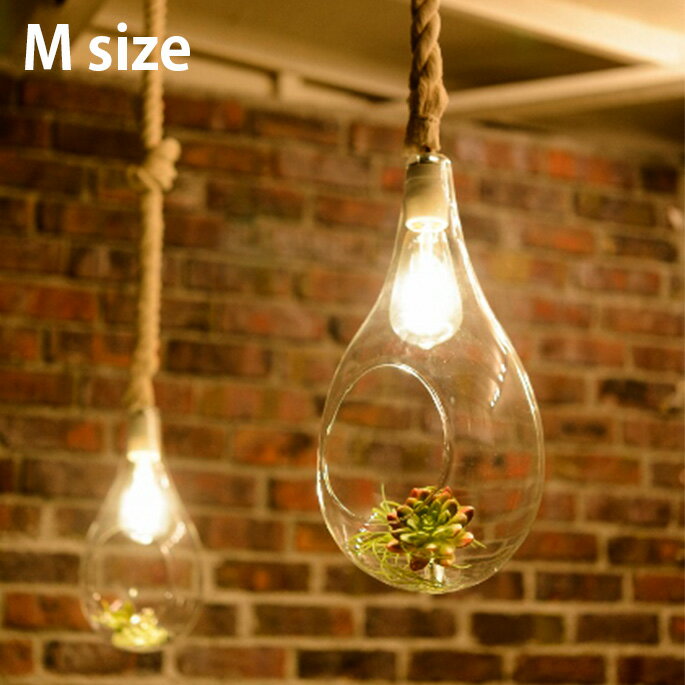 ペンダントライト ボタニックハンギングライトM Botanic Hanging Light M APE-021WH LED ハンキングテラリウム ボタニカル カフェ風 ガラス 植物 LED付属