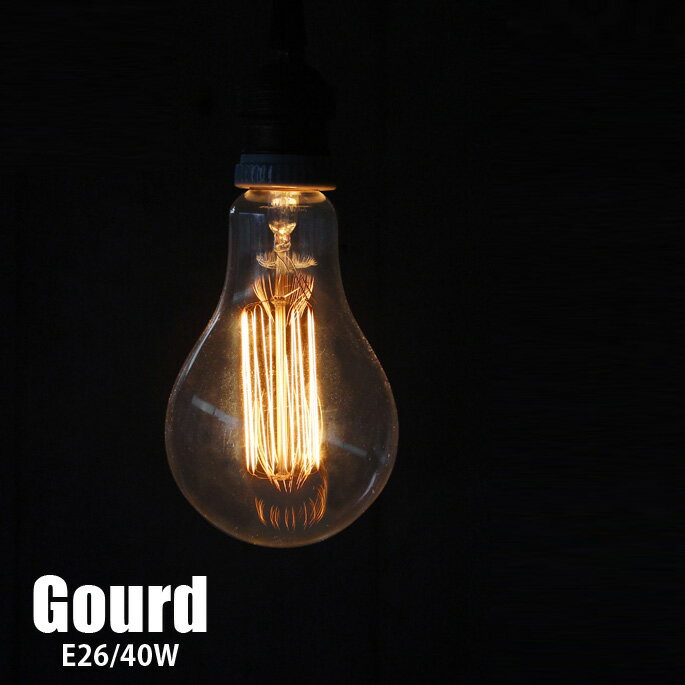 Edison Bulb “Gourd / 40W / E26”（エジソ