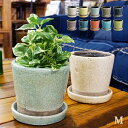Color glazed pot カラーグレーズドポット Mサイズ 植木鉢 DULTON ダルトン 全10色