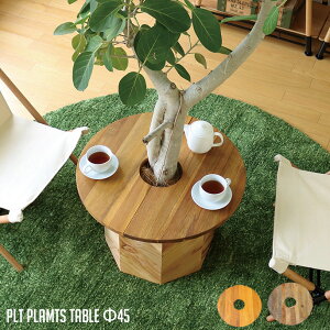 プランターテーブル サイドテーブル PLT Plants Table(プランツテーブル） サークルΦ45cm カラー（チーク・マンゴー） 天然木 観葉植物テーブル 西海岸