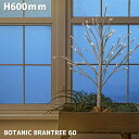 ライト イルミネーション 高さ600mm ボタニックブランツリー 60 BOTANIC BRANTREE 60 AOL-634 照明 ライト LEDイルミネーション リモコン付き 9パターンの切り替え機能 調光機能 防滴ACアダプ…