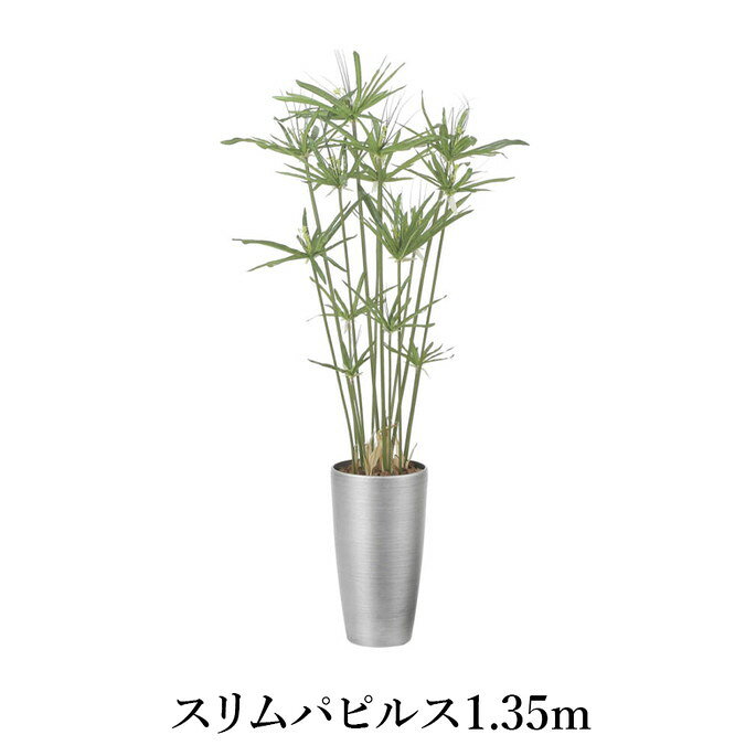 スリムパピルス1.35m 造花 光触媒 フェイクグリーン 2564A260-20 リビング 消臭 華やか 空間に癒しを与えてくれるフェイクグリーン、スリムパピルス1.35mは様々なシーンで活用しやすい人工植物です。お部屋のアクセントと使用するのにぴったりなサイズで、リビングや寝室、書斎の他、オフィスや店舗などのしようにもおすすめです。高い消臭・抗菌・防汚・ホルムアルデヒド分解力を備えた酸化チタン光触媒仕を使用しているため、クリーンな環境を維持し、観葉植物が持つリラックス効果をさらに高めてくれます。ビカーサ【BICASA】インテリアメーカー、インテリア専門店、設計事務所などでインテリア業界に携わってきた経験豊富なスタッフ達が運営する家具・インテリアのセレクトショップです。お客様の『新しいインテリアとの出会い』＝『新しい生活の始まり』を全力でサポートします。 フェイクグリーン、スリムパピルス1.35mは水やりの必要がなく衛生面や周囲の環境により、 生の植物では、適応できない場所でも比較的簡単に装飾できるのが魅力です。設置してしまえば、その後のメンテナンスはほぼ不要。メンテナンスコストが大幅に削減できるので、ますます需要を高めています。室内空間の美しさを引き立たせるフリーンやフラワーは、コーディネートの脇役的な存在に見られがちですが、インテリアの仕上げには欠かせないアイテムです。サイズ幅60cm×奥行60cm×高さ135cm（器も含めた高さ） 材質繊維強化プラスチック（器） ポイント インナーサイズ 収納サイズ納期10営業日程度 その他 付属品 送料　※北海道・沖縄・離島・一部地域を除く