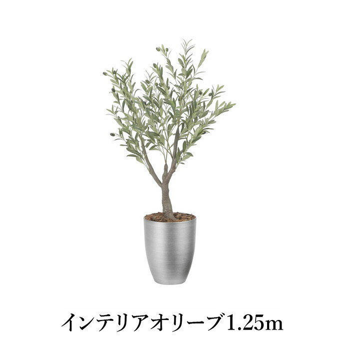 樂天商城 - 【マラソンクーポン10%OFF!! 4/27 9:59迄】インテリアオリーブ1.25m 造花 光触媒 フェイクグリーン 2591A300-20 リビング 消臭 華やか