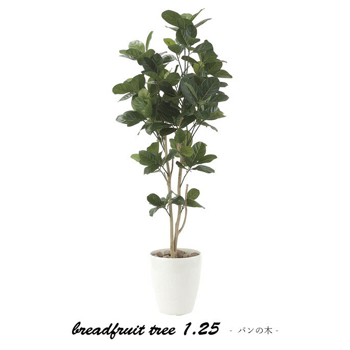 Rakuten - パンの木1.25m 造花 光触媒 フェイクグリーン 611AP240-55 リビング 消臭 華やか