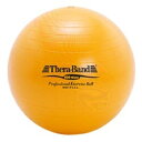 D&M|ディーエム バランスボール SDS EXERCISE BALL(イエロー/φ45cm) SDS-45
