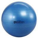 D＆M｜ディーエム バランスボール SDS EXERCISE BALL（ブルー/φ75cm） SDS-75