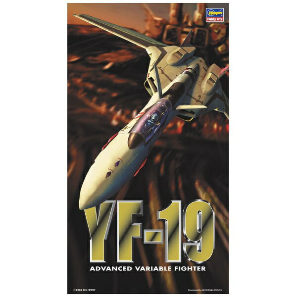 長谷川製作所｜Hasegawa 1/72 マクロスシリーズ YF-19 “マクロスプラス” 