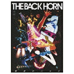 ビクターエンタテインメント｜Victor Entertainment THE BACK HORN/創造のパルス 初回限定版 【DVD】 【代金引換配送不可】