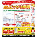 〔さまざまな用紙にピッタリ印刷！〕定型用紙をスキャナーで読み込み、定型用紙に合わせて文字や画像等を配置して印刷するソフト。（Win版）■ かんたんなマウス機能なので難しい操作はなく、パソコン初心者の方でも安心して操作できます。■ 今まで手書きだった注文書・見積書・請求書・伝票などの市販用紙やハガキや封筒、名刺用紙、ラベル用紙など各種用紙も取り込み可能です。■ スキャナーで定型用紙を取り込むと編集画面に用紙が表示されるのでマウス操作で見たまま自由に「文字」「画像」「図形(直線・四角・丸・チェックマーク×・レ)」を配置できます。■ 文字の大きさやフォント、色や文字間隔を設定でき、長い文章は折り返すこともできます。■ また、位置揃えの機能があり、配置した複数の文字の先頭やチェックマークの先頭を揃えることができ、よりきれいに配置することができます。■ 今まで手書きだった注文書・見積書・請求書などの市販の定型用紙や各種申請書、ハガキ、名刺サイズの用紙、ラベル用紙など各種用紙もきれいに印刷できます。 アイアールティー用紙に合わせてピッタリ印刷 Win/CD