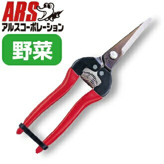 ���륹�����ݥ졼������ARS Ŧ����L