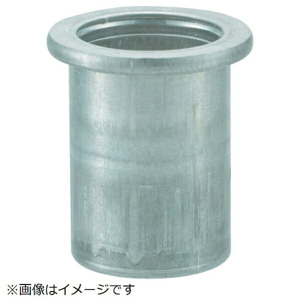 �ȥ饹���滳��TRUSCO NAKAYAMA �����ץʥå�ʿƬ����ߡ��ĸ�2.5��M6X1.0��1000����TBN6M25AC