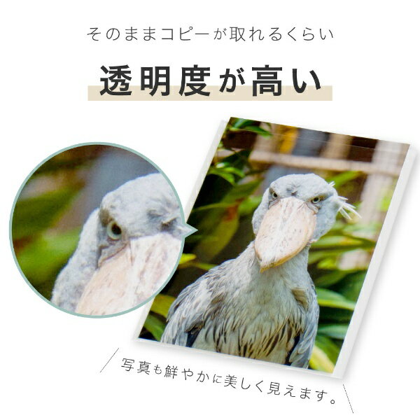 セキセイ｜SEKISEI クリアポケット（A6）　AZ-540[AZ540]