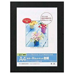 ■プリントをホコリから保護する透明保護シート付。■スタンド・壁掛け兼用タイプでシャープなカットがプリントを引き立てます。