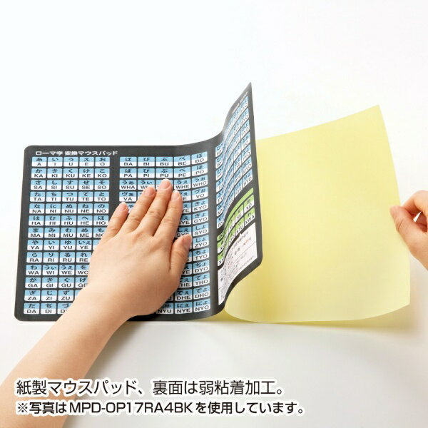 ����掠�ץ饤��SANWA SUPPLY �ޥ����ѥå� �֥롼 MPD-OP17RL8BL[MPDOP17RL8BL]