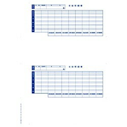 �����ӥå���OBIC ñɼ�����ѻٵ����ٽ� ��300������600�ҡˡ�6202[09SP6202]