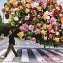 ユニバーサルミュージック NAOTO INTI RAYMI/ありったけのLove Song 【CD】 【代金引換配送不可】