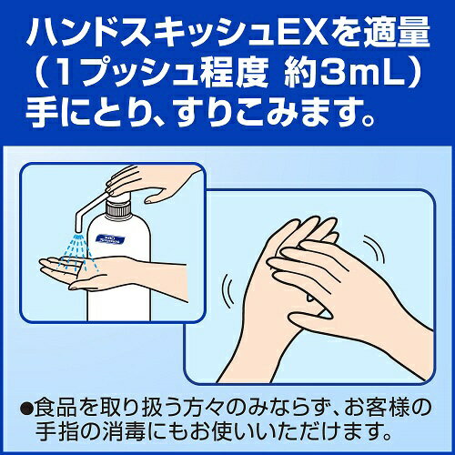 花王｜Kao ハンドスキッシュEX 手指消毒剤 つけかえ用（800ml）【rb_pcp】