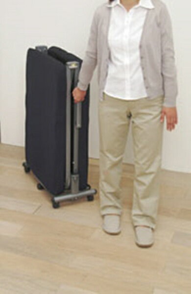 IRIS OHYAMA�å����ꥹ������� �ڥߥ��ޤꤿ���ߥ٥åɡۥ����ꥹ������� OTB-MN(67.5��190.5��31cm)�ڥ���󥻥롦�����Բġ� �������������Բġ�