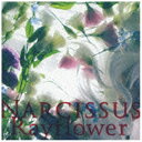 ビクターエンタテインメント｜Victor Entertainment Rayflower/Narcissus 【音楽CD】 【代金引換配送不可】