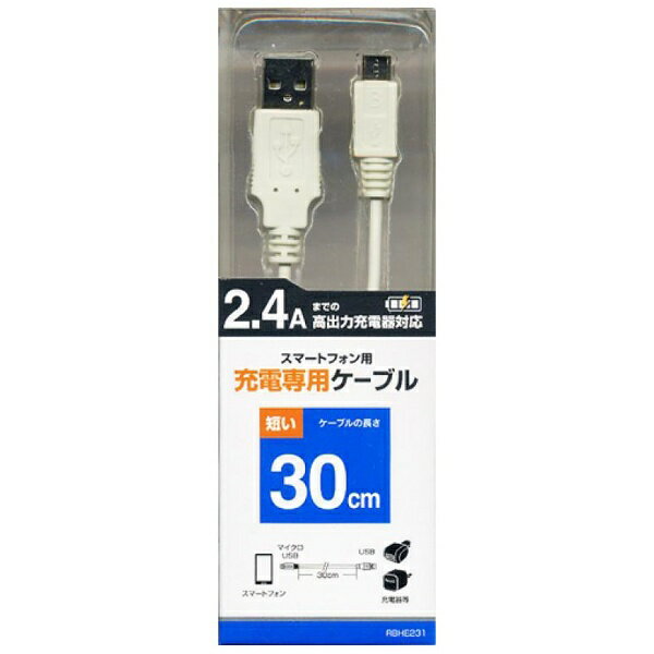 ラスタバナナ｜RastaBanana スマートフォン用［micro USB］　充電USBケーブル （30cm・ホワイト）　RBHE231