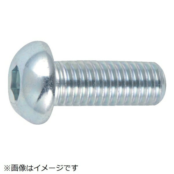 樂天商城 - トラスコ中山｜TRUSCO NAKAYAMA 六角穴付ボタンボルト三価　白　サイズM6×20　19本入　B7740620