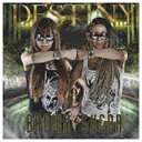 ファーストディストリビューション BROWN SUGAR／DESTINY 【CD】 【代金引換配送不可】