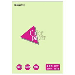 B4 Size Paper - 長門屋商店｜NAGATOYA 〔各種プリンタ〕カラーペーパー 中厚口 0.09mm [B4 /100枚] ナ-2206 若草[ナ2206]