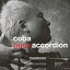 ܥӥNIPPON COLUMBIA coba/coba pure accordion ڲCD Բġ