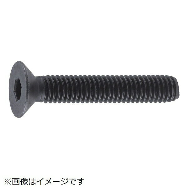 トラスコ中山｜TRUSCO NAKAYAMA 六角穴付皿ボルト　黒染め　サイズM4×20　55本入　B730420