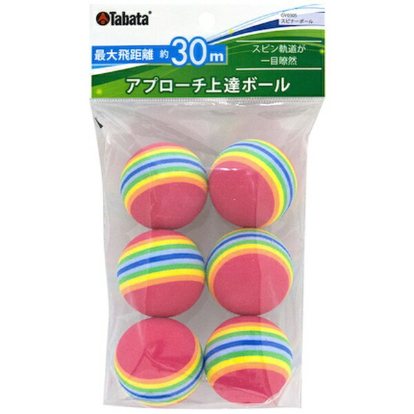 ���Х���Tabata ���ץ�������ã�ܡ���(6������/���ԥʡ��ܡ���) GV-0305�����ʸ��Բġ�