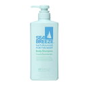 ファイントゥデイ｜Fine Today SEA BREEZE（シーブリーズ）クール＆ボディシャンプー （ジャンボサイズ）(600mL)【rb_pcp】