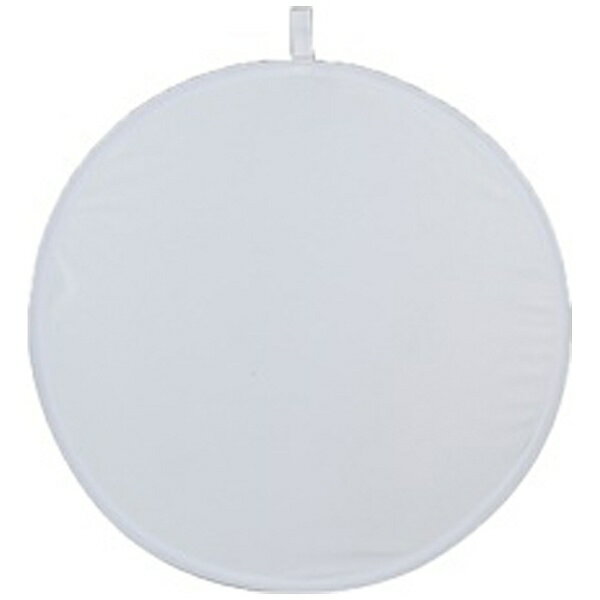 ����ƥå���SUNTECH SP�饤�ȥ�ա�SW30��30cm�ˡ�685[SP685SW30]