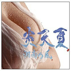 バップ｜VAP 湘南乃風/炎天夏 【CD】 【代金引換配送不可】