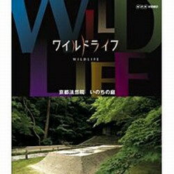 NHKエンタープライズ｜nep ワイルドライフ 京都法然院 いのちの庭 【DVD】 【代金引換配送不可】