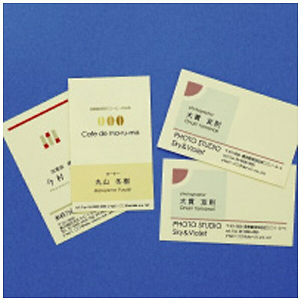 �ҥ�����HISAGO �ӥ��ͥ�̾�� 1000�� (A4������ 10�̡�100������) ���꡼�� BX07[BX07]