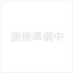 ソニーミュージックマーケティング 平川地一丁目／TOkYO 【CD】