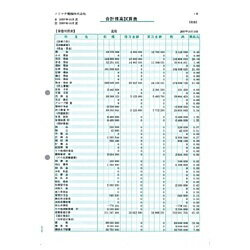 ソリマチ｜sorimachi 合計残高試算表 （500枚） SR4501 SR4501
