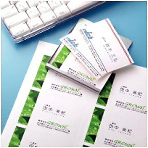 �ҥ�����HISAGO ���顼�졼���ץ������ ̾�ɡ������� 160�� (A4������ 8�̡�20������) �ۥ磻�� LP10NS[LP10NS]