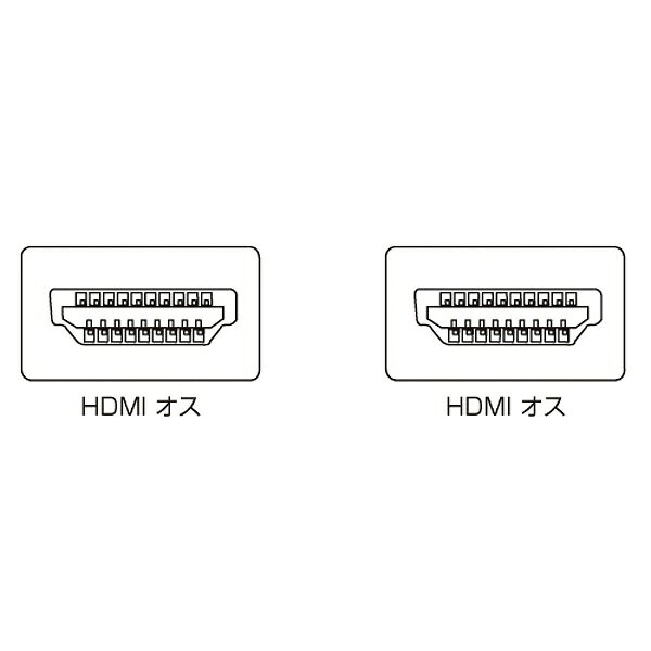 サンワサプライ｜SANWA SUPPLY HDMIケーブル ブラック KM-HD20-10DBK [1m /HDMI⇔HD...