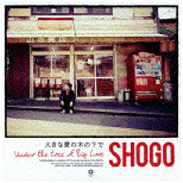 バウンディ SHOGO/大きな愛の木の下で 【CD】 【代金引換配送不可】