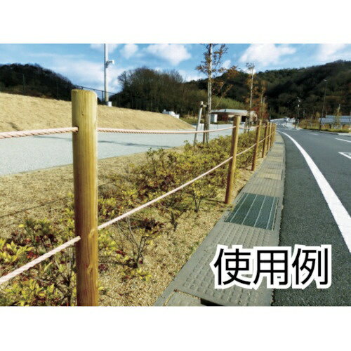 �ȥ饹���滳��TRUSCO NAKAYAMA ������ס�3���ǡ�����9mm��Ĺ��20m��R920A