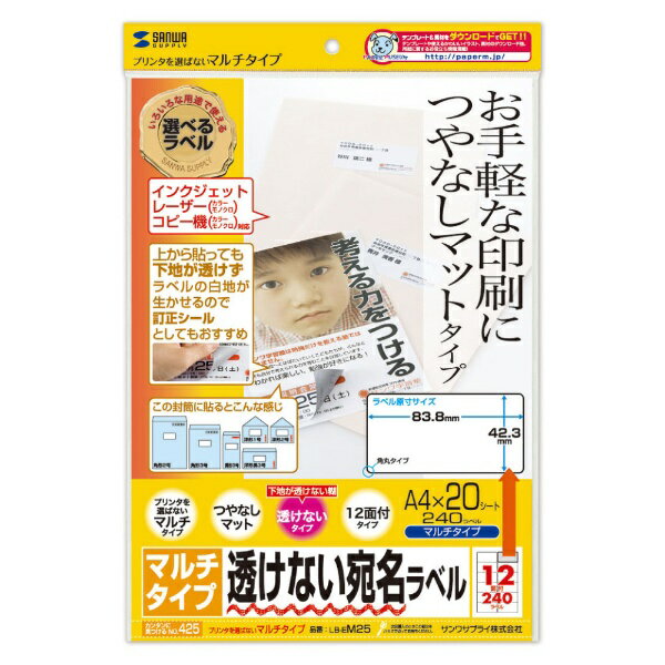 サンワサプライ｜SANWA SUPPLY 下地が透けない LB-EM25 [A4 /20シート /12面 /マット][LBEM25]