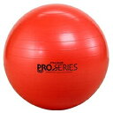 D＆M｜ディーエム バランスボール SDS EXERCISE BALL（レッド/φ55cm）SDS-55[SDS55]