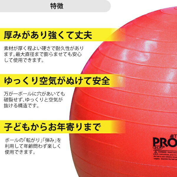 D＆M｜ディーエム バランスボール SDS EXERCISE BALL（レッド/φ55cm）SDS-55[SDS55]