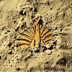 EMIミュージックジャパン 東京事変/大発見 【CD】 【代金引換配送不可】