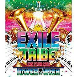 エイベックス・ピクチャーズ｜avex pictures EXILE/EXILE TRIBE LIVE TOUR 2012 TOWER OF WISH（2枚組） 【ブルーレイ ソフト】 【代金引換配送不可】