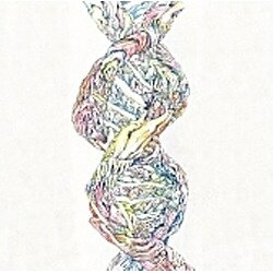 EMIミュージックジャパン RADWIMPS/ドリーマーズ・ハイ 【CD】 【代金引換配送不可】