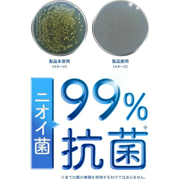 ショールズ ウェルネス カンパニー｜Scholls Wellness Company ドクターショール ...