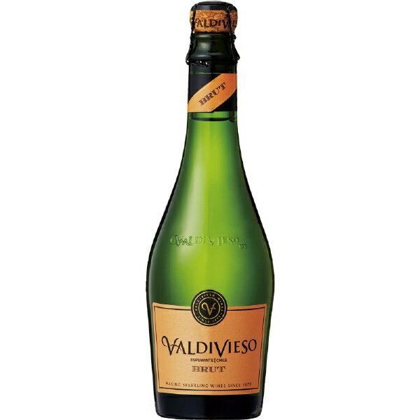 チリ｜Chile バルディビ